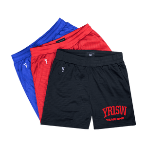 Everlast 2025 mesh shorts