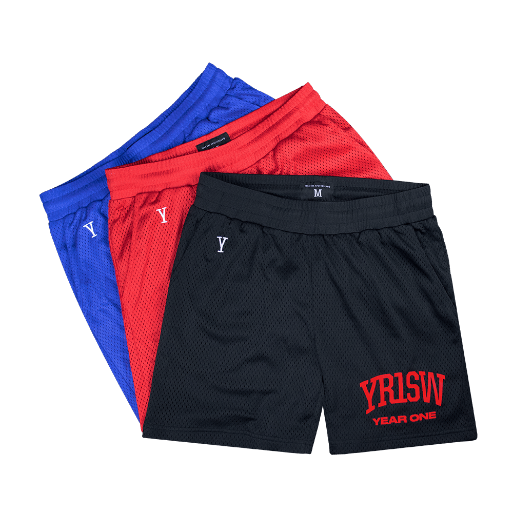 Mesh Basketball Shorts (STEEL GREY) – atwarworldwide