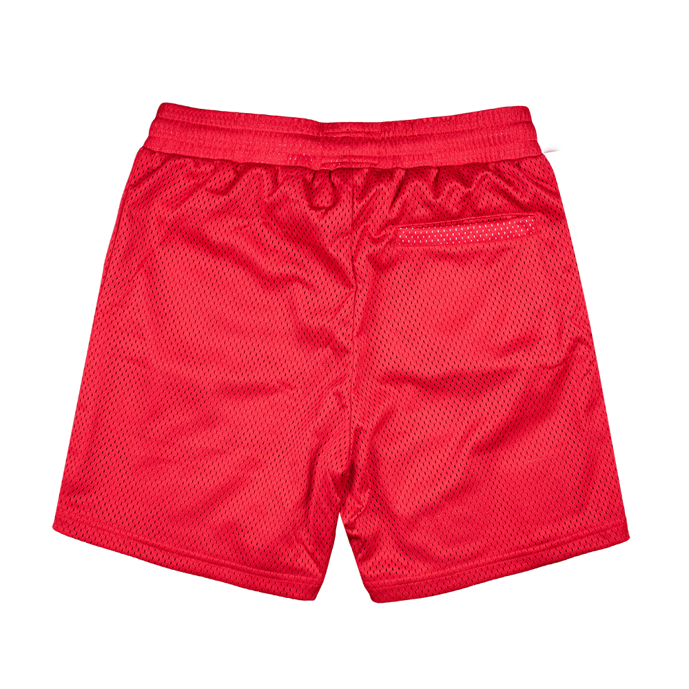 Mesh 2025 basketball shorts